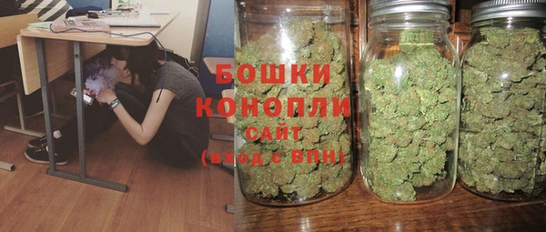 прущие грибы Алзамай