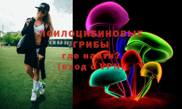 прущие грибы Алзамай