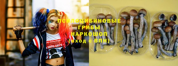 соль ск Алексин