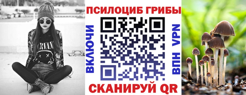 Галлюциногенные грибы Magic Shrooms  OMG ссылка  Орехово-Зуево  продажа наркотиков 